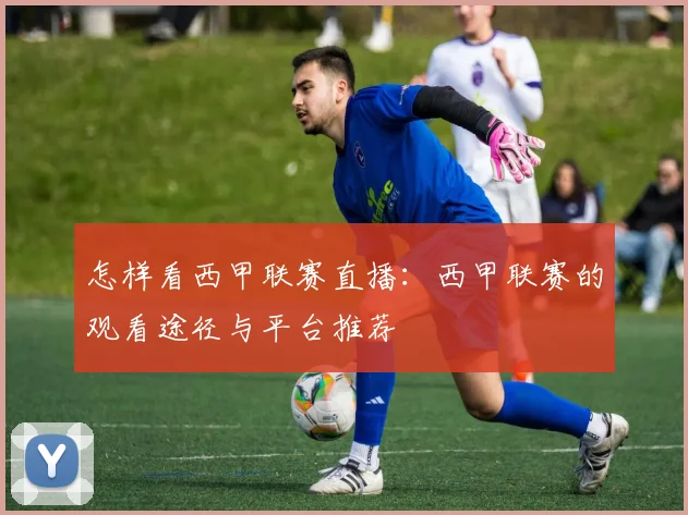 怎样看西甲联赛直播：西甲联赛的观看途径与平台推荐
