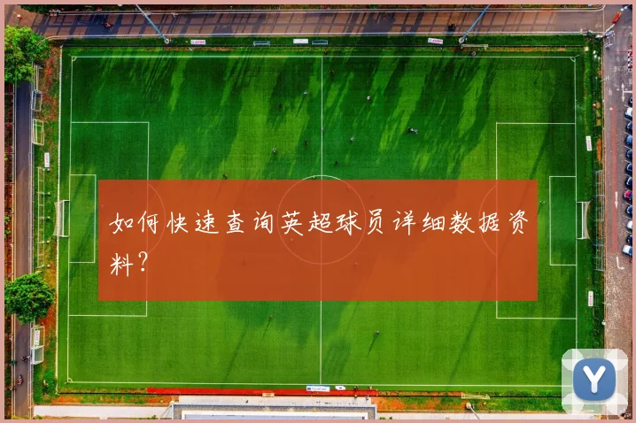 如何快速查询英超球员详细数据资料？