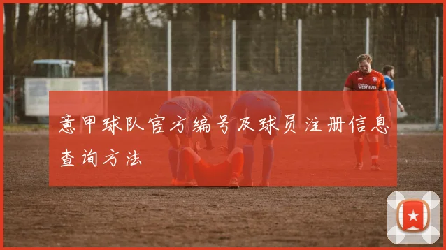 意甲球队官方编号及球员注册信息查询方法