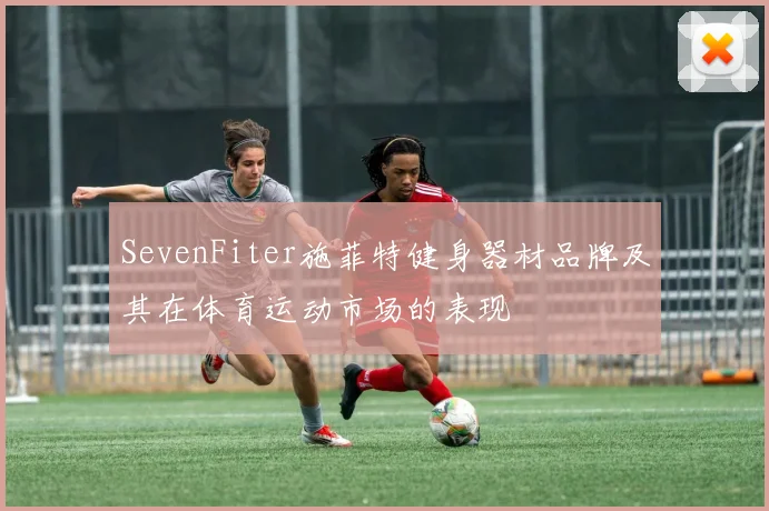 SevenFiter施菲特健身器材品牌及其在体育运动市场的表现