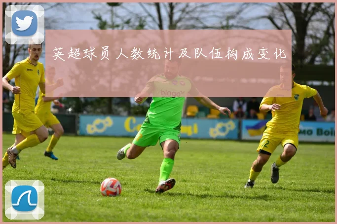 英超球员人数统计及队伍构成变化