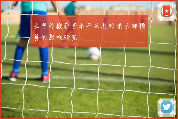 法甲外援薪资水平及其对俱乐部预算的影响研究