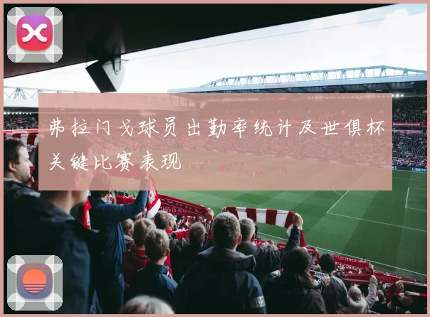 弗拉门戈球员出勤率统计及世俱杯关键比赛表现