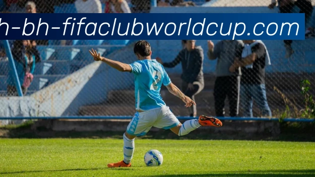 世界杯赛程平台生态图