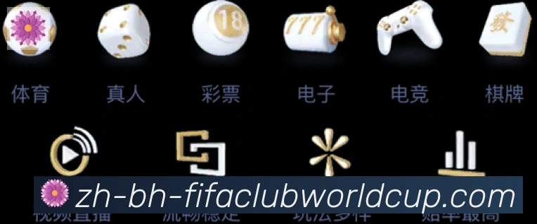 多媒体互动体验